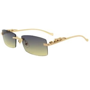 Lunette Jaguar transparent – Image 5